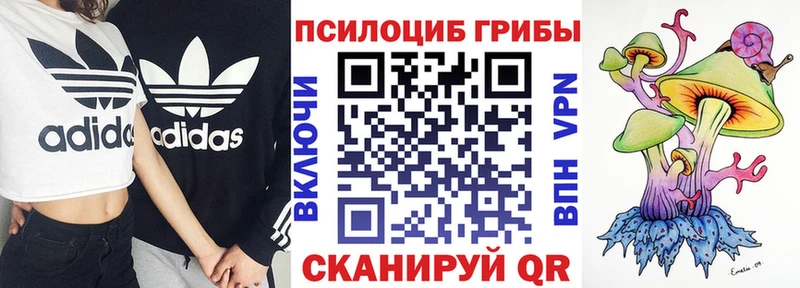 Псилоцибиновые грибы Psilocybe  где купить наркотик  Мариинский Посад 